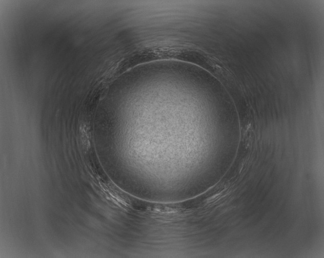 X0000054460772200508011500