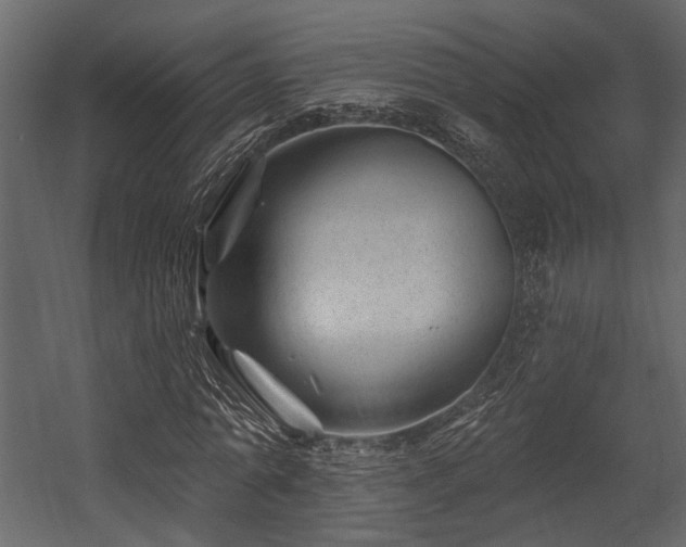 X0000054460774200508011500