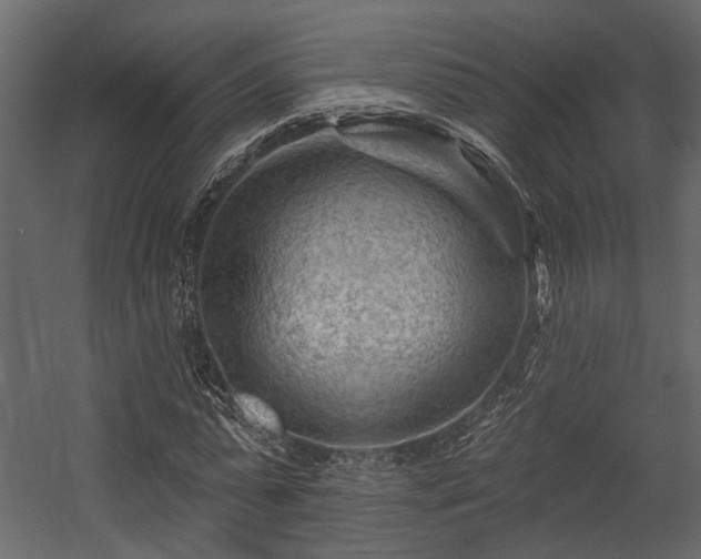 X0000054460775200508011500