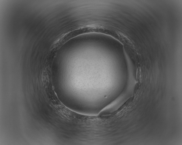 X0000054460776200508011500