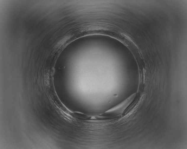 X0000054460777200508011500