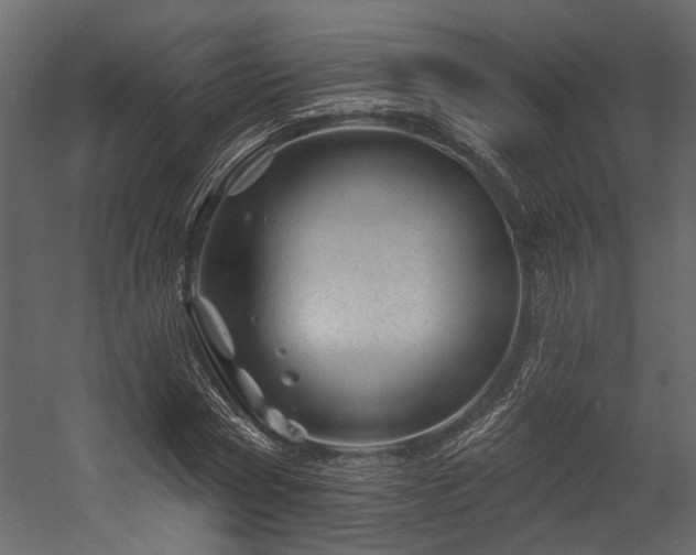 X0000054460778200508011500