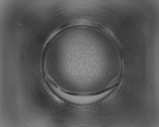 X0000054460780200508011500