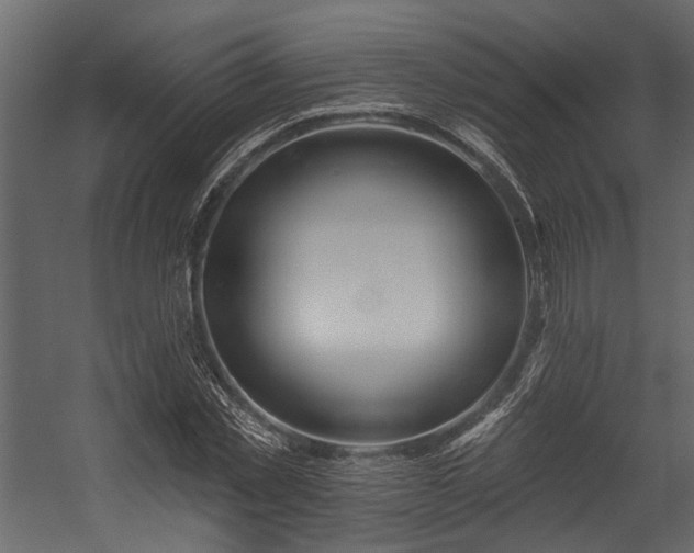 X0000054460781200508011500