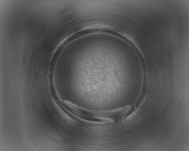 X0000054460783200508011500