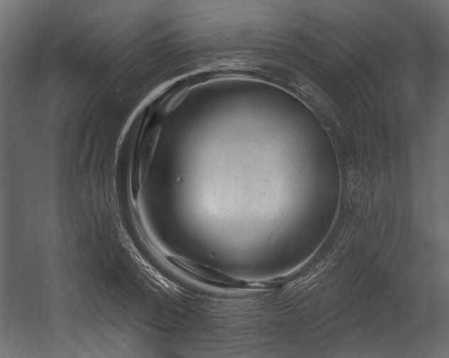 X0000054460784200508011500