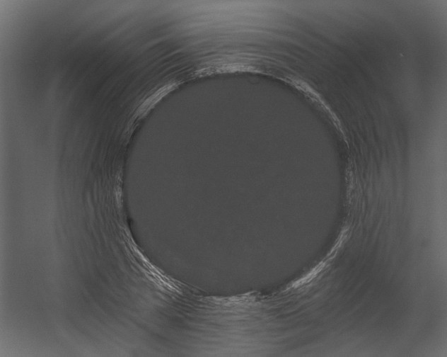 X0000054460785200508011500