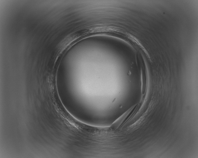 X0000054460786200508011500