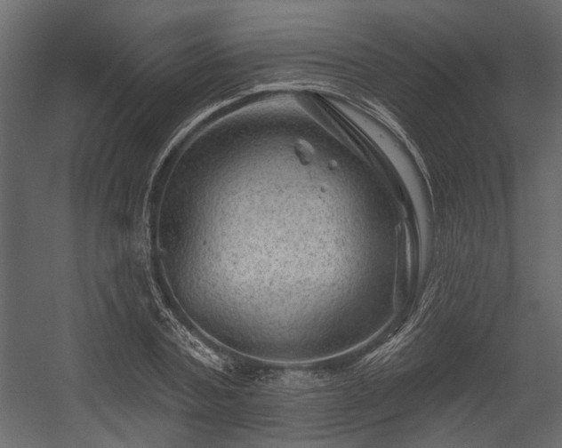 X0000054460787200508011500