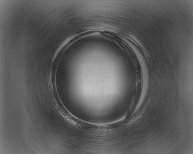 X0000054460788200508011500