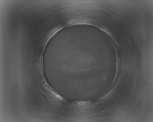 X0000054460790200508011500