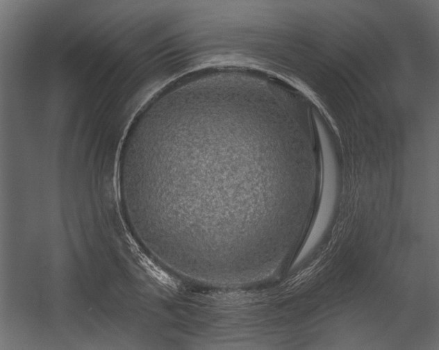 X0000054460791200508011500