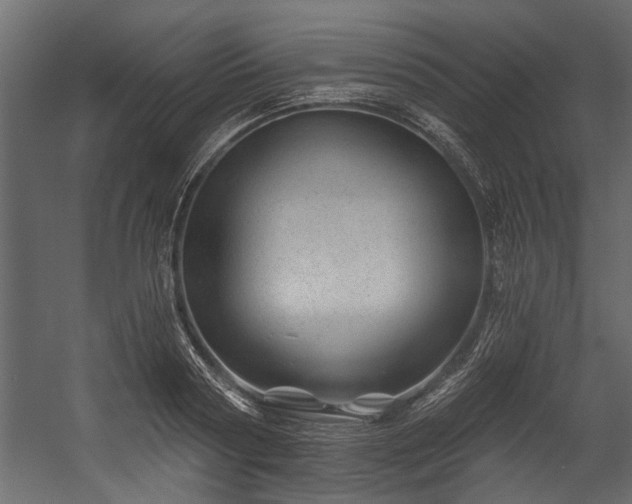 X0000054460794200508011500