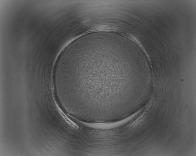 X0000054460795200508011500