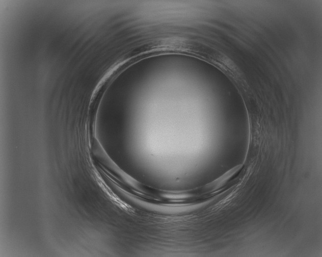 X0000054460796200508011500