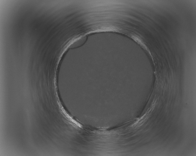 X0000054460797200508011500