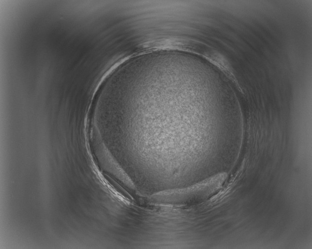 X0000054460798200508011500