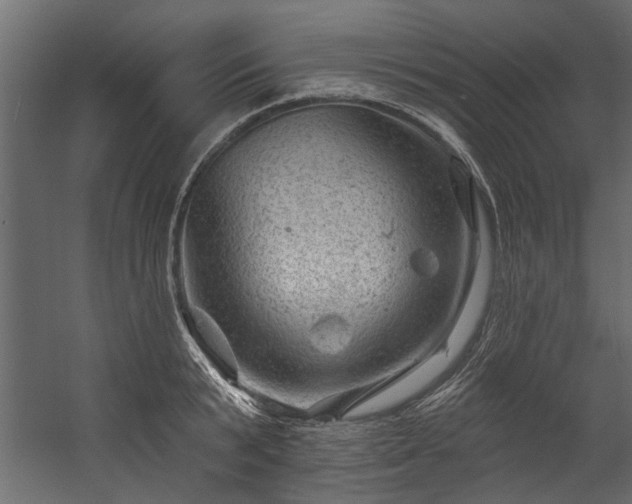 X0000054460799200508011500