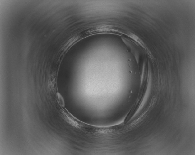 X0000054460801200508011500