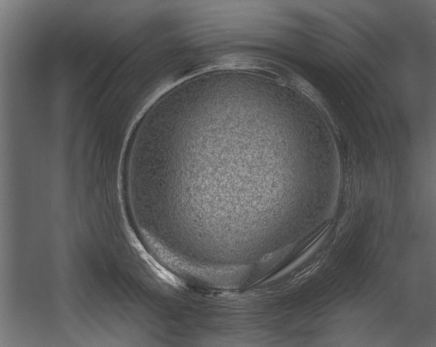 X0000054460803200508011500