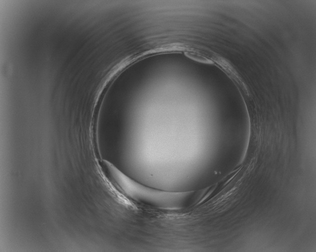 X0000054460805200508011500