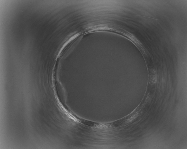 X0000054460806200508011500