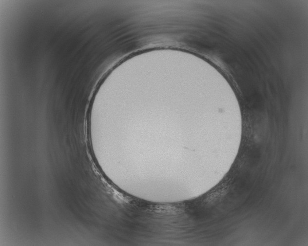 X0000054460807200508011500