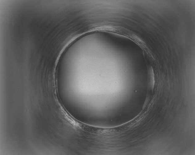 X0000054460808200508011500