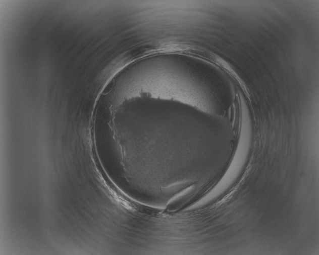 X0000054460810200508011500