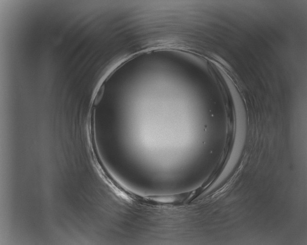 X0000054460812200508011500