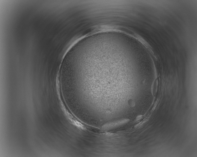 X0000054460814200508011500