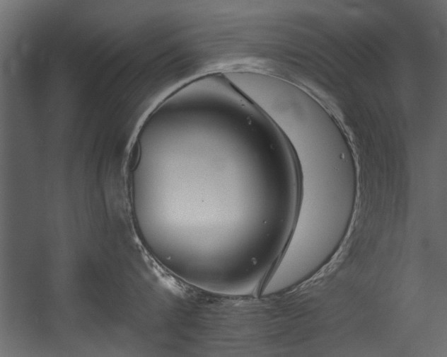 X0000054460816200508011500