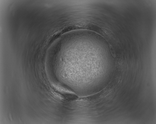 X0000054460817200508011459