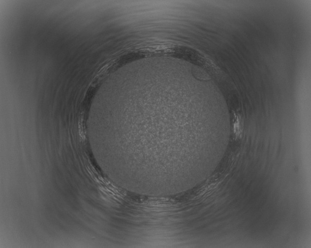 X0000054460819200508011459