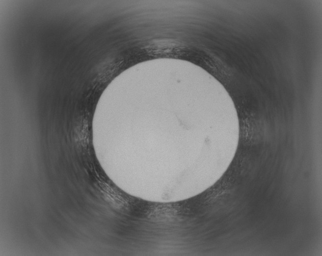 X0000054460820200508011459