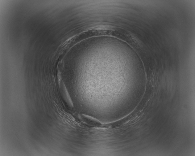 X0000054460821200508011459