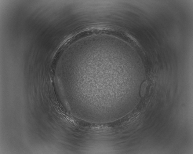 X0000054460823200508011459