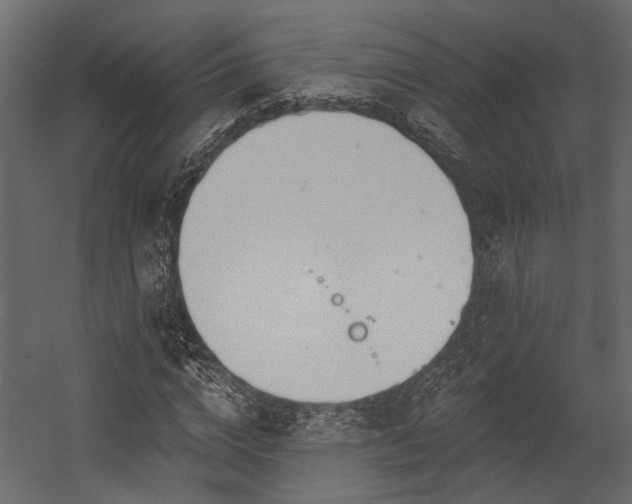 X0000054460824200508011459