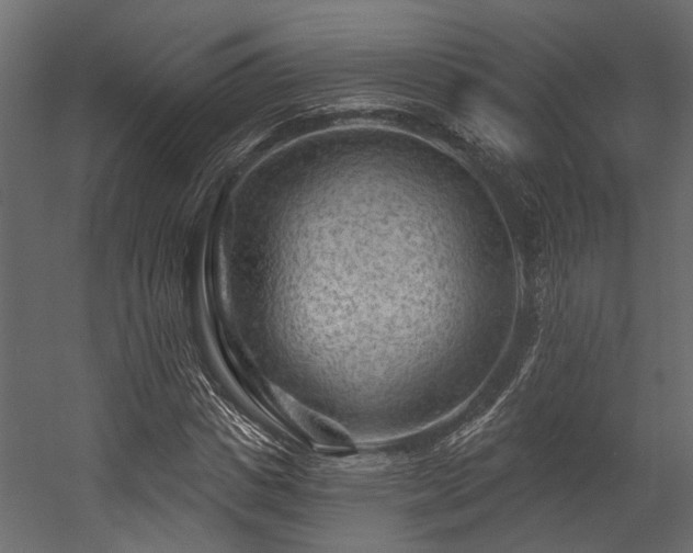 X0000054460825200508011459