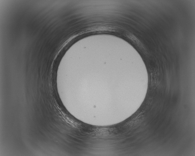 X0000054460828200508011459