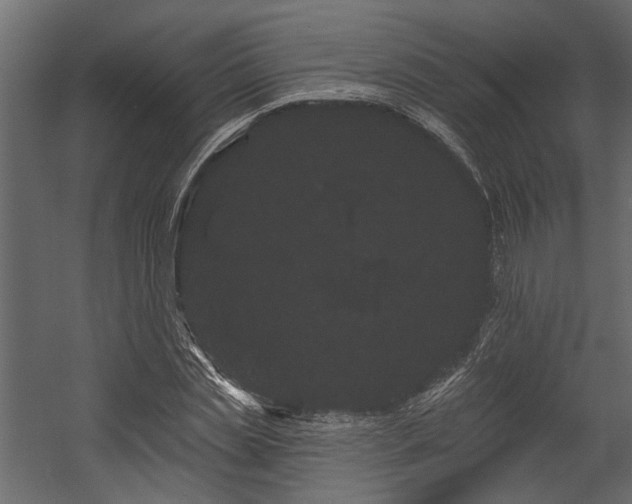 X0000054460829200508011459