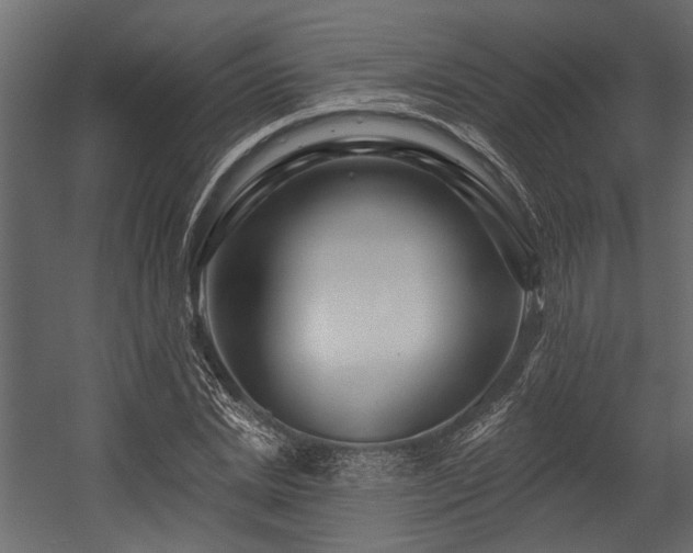 X0000054460830200508011459