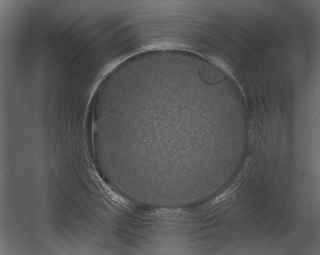 X0000054460831200508011459