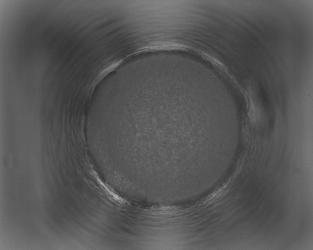 X0000054460833200508011459