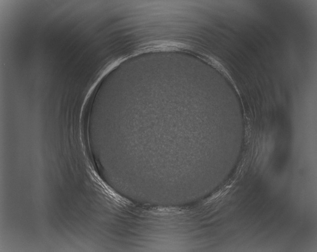 X0000054460835200508011459