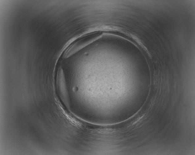 X0000054460837200508011459