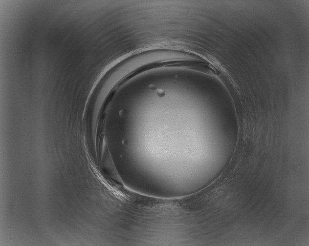 X0000054460838200508011459