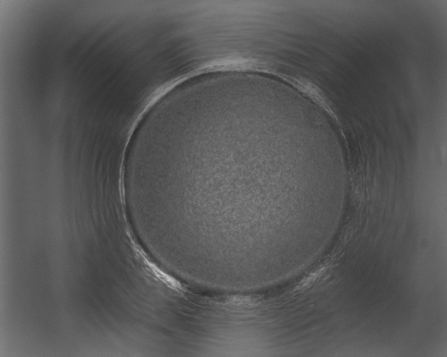 X0000054460839200508011459