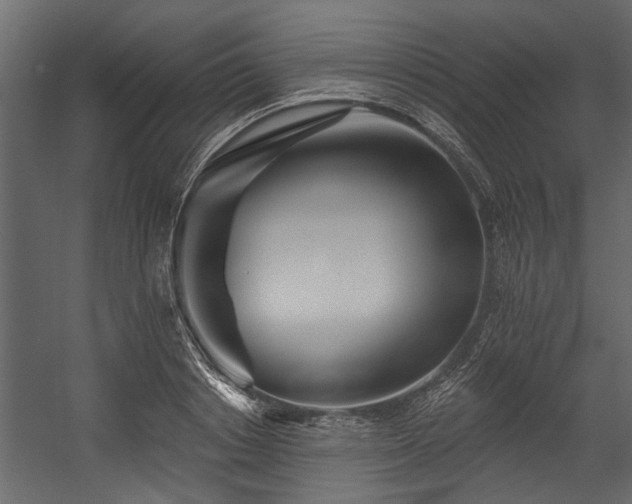 X0000054460842200508011459