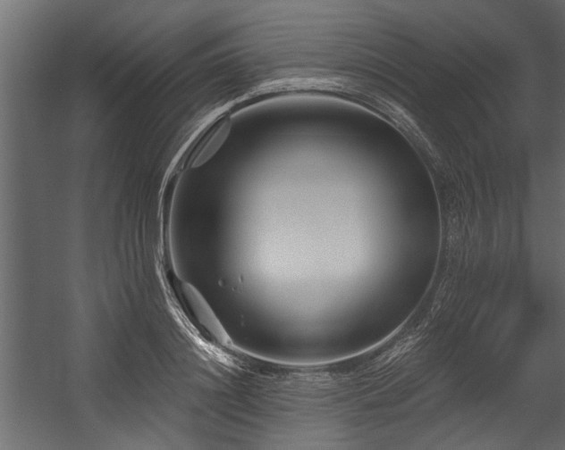 X0000054460844200508011459